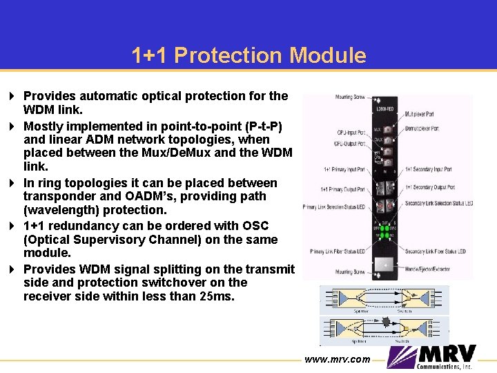 1+1 Protection Module 4 Provides automatic optical protection for the WDM link. 4 Mostly