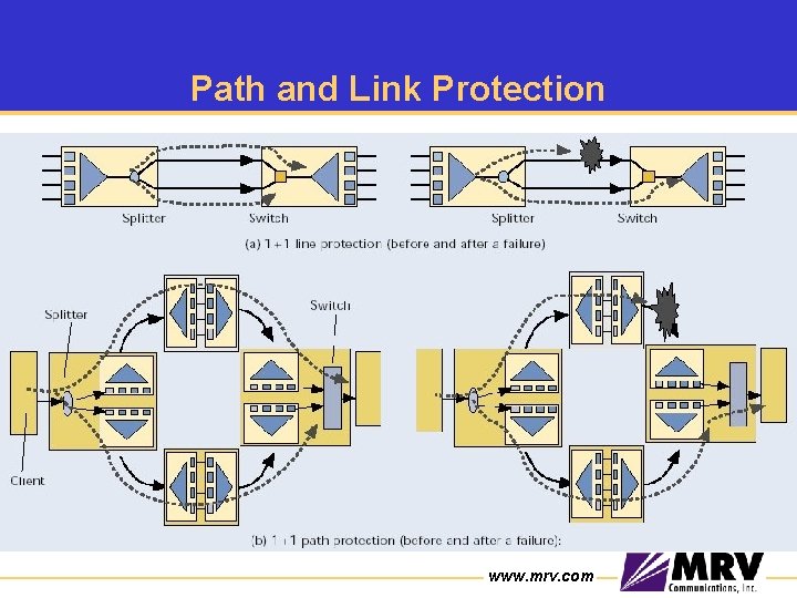 Path and Link Protection www. mrv. com 