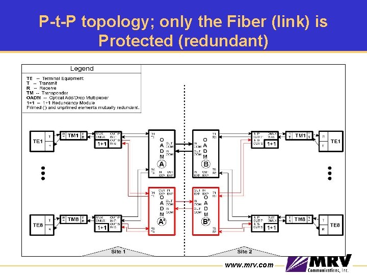 P-t-P topology; only the Fiber (link) is Protected (redundant) www. mrv. com 