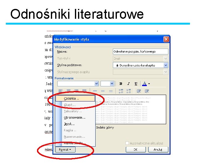 Odnośniki literaturowe 