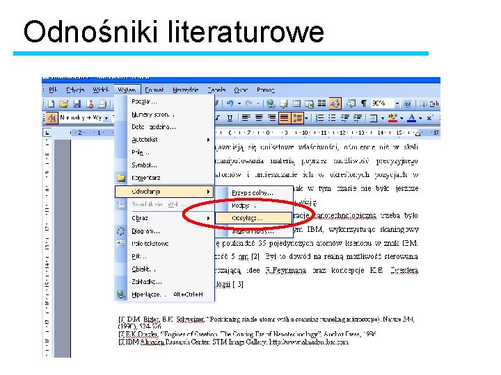 Odnośniki literaturowe 