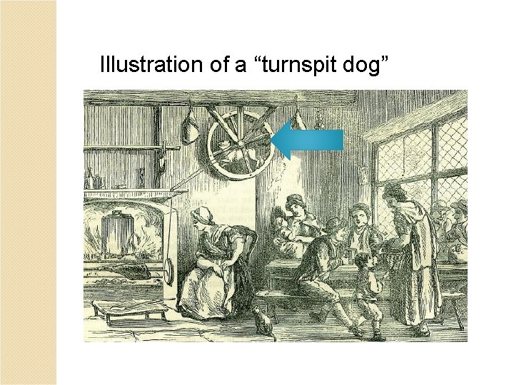 Illustration of a “turnspit dog” 