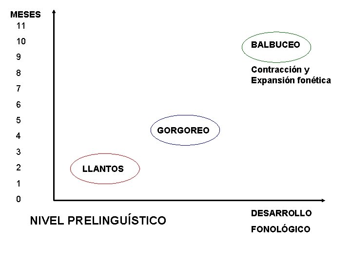 MESES 11 10 BALBUCEO 9 Contracción y Expansión fonética 8 7 6 5 GORGOREO