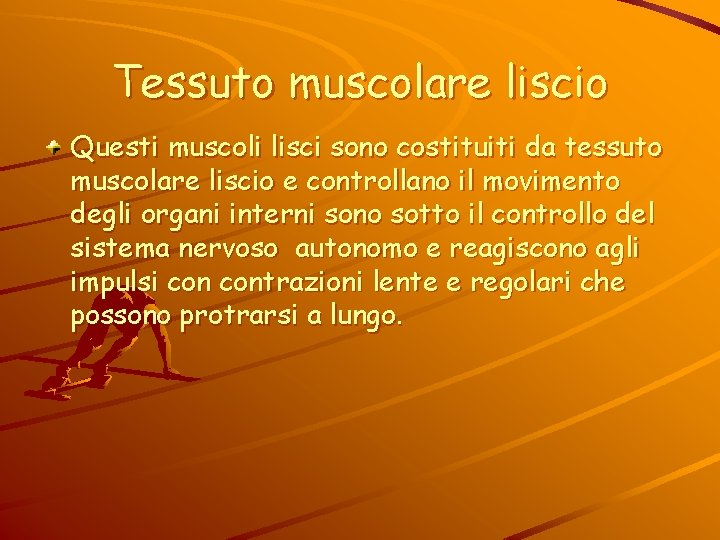 Tessuto muscolare liscio Questi muscoli lisci sono costituiti da tessuto muscolare liscio e controllano