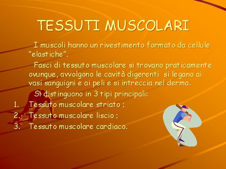 TESSUTI MUSCOLARI 1. 2. 3. I muscoli hanno un rivestimento formato da cellule “elastiche”.