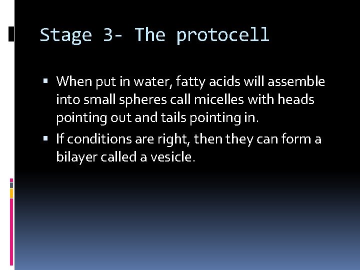 Stage 3 - The protocell When put in water, fatty acids will assemble into