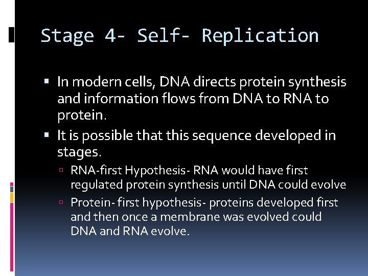 Stage 4 - Self- Replication In modern cells, DNA directs protein synthesis and information