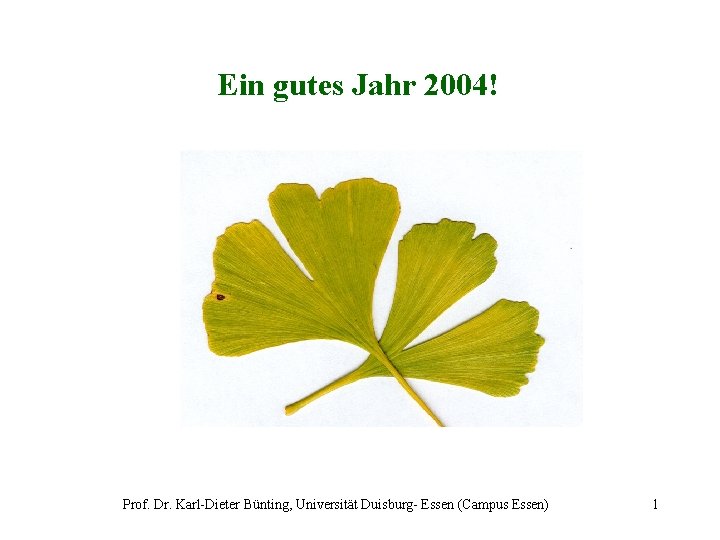 Ein gutes Jahr 2004! Prof. Dr. Karl-Dieter Bünting, Universität Duisburg- Essen (Campus Essen) 1
