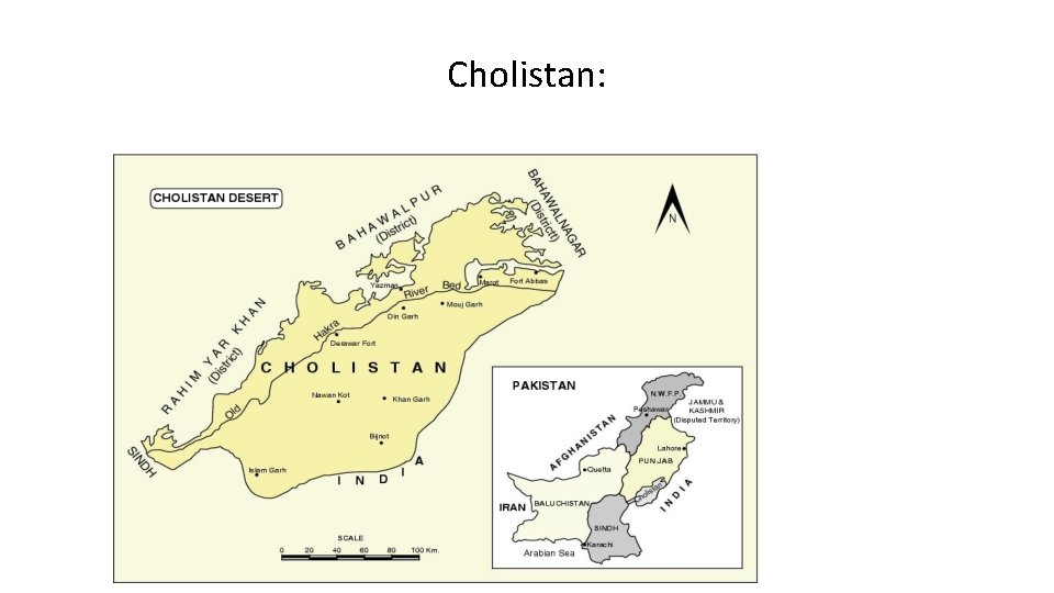 Cholistan: 