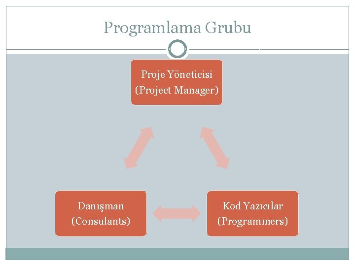 Programlama Grubu Proje Yöneticisi (Project Manager) Danışman (Consulants) Kod Yazıcılar (Programmers) 