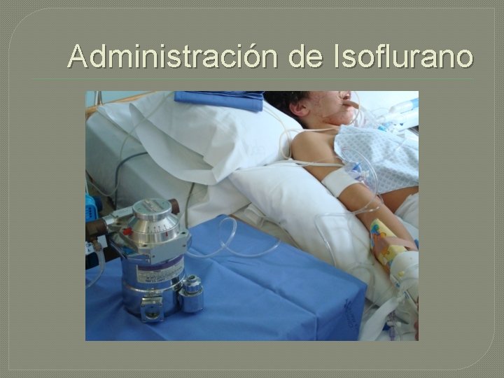 Administración de Isoflurano Administración de Isoflurano