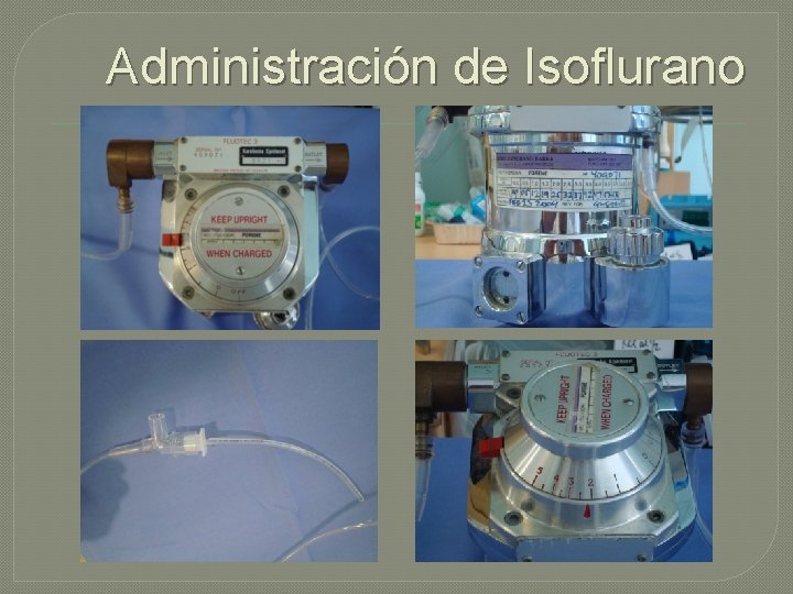 Administración de Isoflurano Administración de Isoflurano