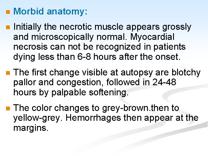 n Morbid anatomy: n Initially the necrotic muscle appears grossly and microscopically normal. Myocardial