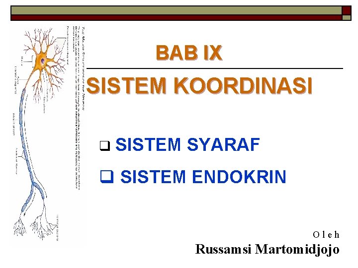 BAB IX SISTEM KOORDINASI q SISTEM SYARAF q SISTEM ENDOKRIN Oleh Russamsi Martomidjojo 
