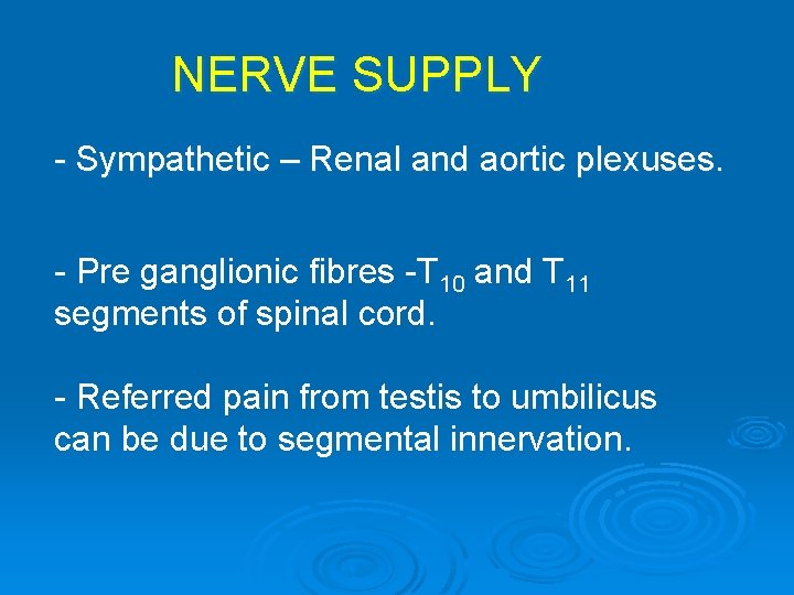 NERVE SUPPLY - Sympathetic – Renal and aortic plexuses. - Pre ganglionic fibres -T