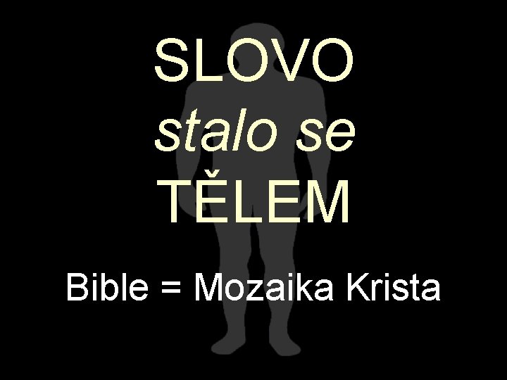 SLOVO stalo se TĚLEM Bible = Mozaika Krista 