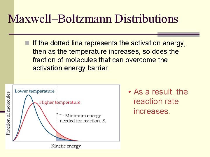 Maxwell–Boltzmann Distributions n If the dotted line represents the activation energy, then as the