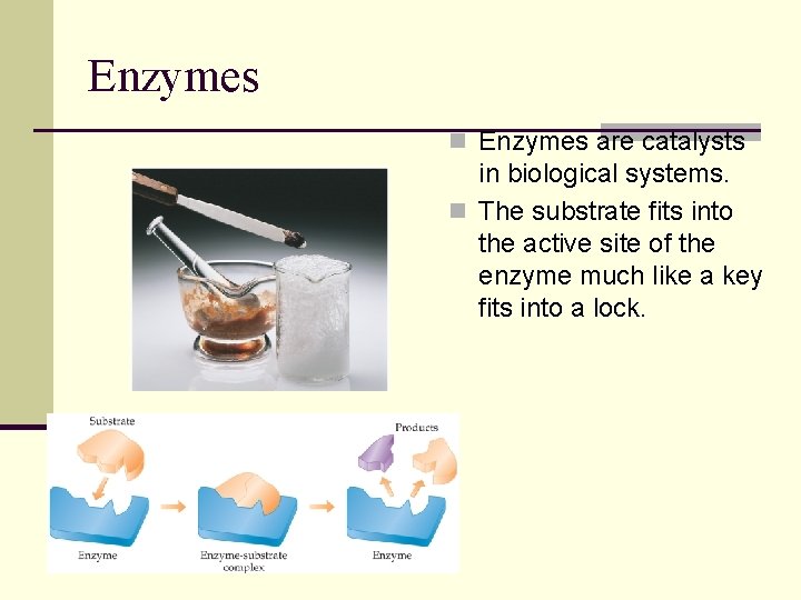 Enzymes n Enzymes are catalysts in biological systems. n The substrate fits into the