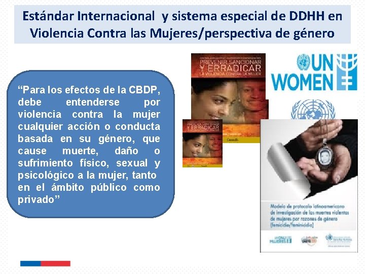 Estándar Internacional y sistema especial de DDHH en Violencia Contra las Mujeres/perspectiva de género