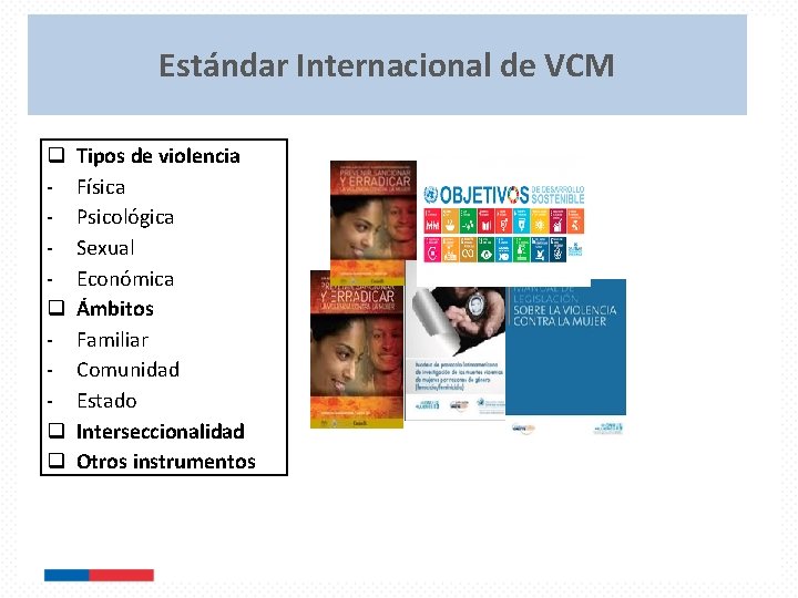 Estándar Internacional de VCM q q Tipos de violencia Física Psicológica Sexual Económica Ámbitos