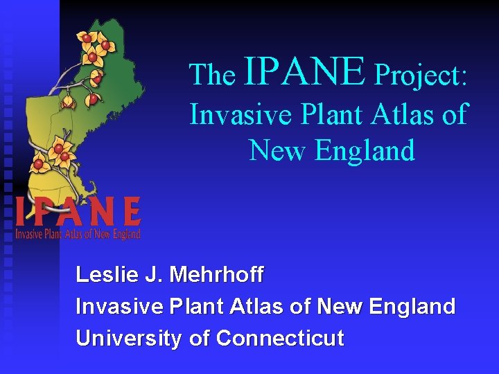 The IPANE Project: Invasive Plant Atlas of New England Leslie J. Mehrhoff Invasive Plant