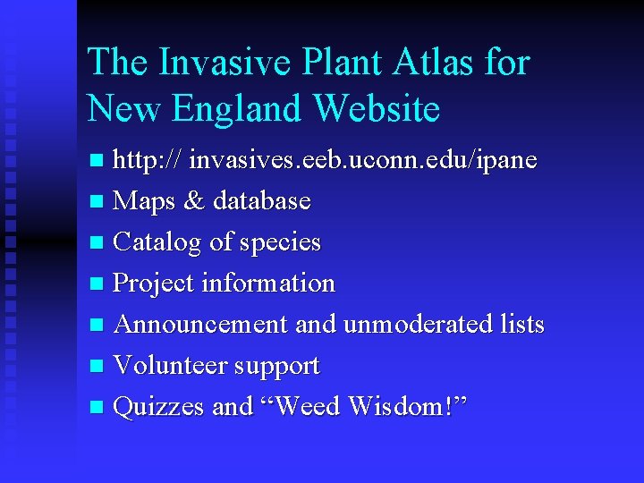 The Invasive Plant Atlas for New England Website http: // invasives. eeb. uconn. edu/ipane