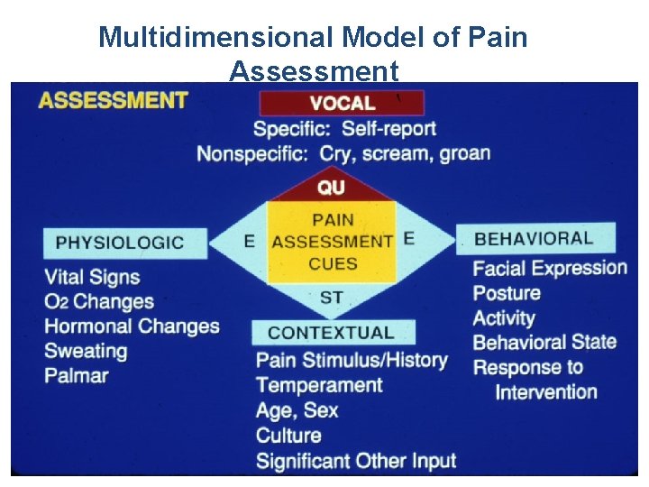 Multidimensional Model of Pain Assessment 