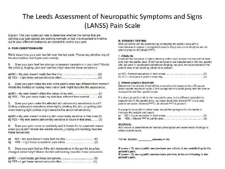 The Leeds Assessment of Neuropathic Symptoms and Signs (LANSS) Pain Scale 