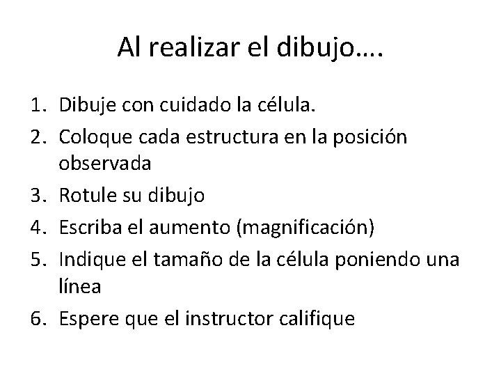 Al realizar el dibujo…. 1. Dibuje con cuidado la célula. 2. Coloque cada estructura