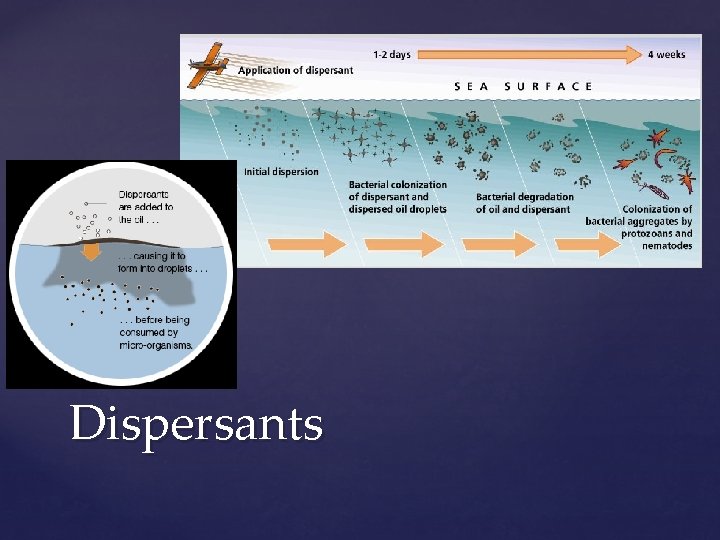 Dispersants 