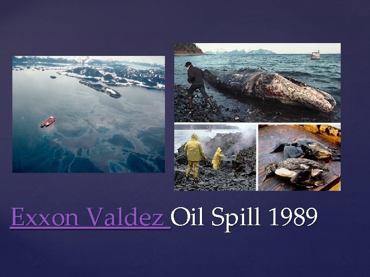 Exxon Valdez Oil Spill 1989 