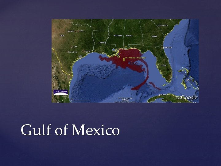 Gulf of Mexico 