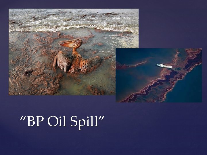 “BP Oil Spill” 
