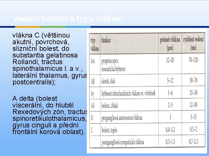 Vedení bolesti a typy vláken: vlákna C (většinou akutní, povrchová, slizniční bolest, do substantia