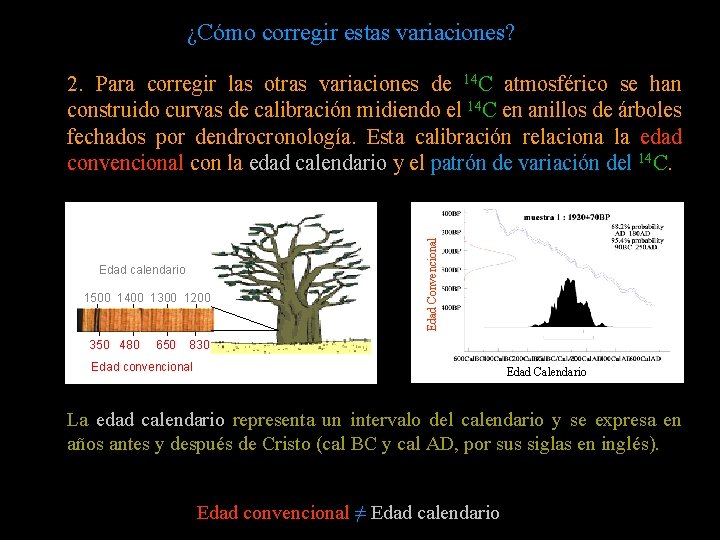 ¿Cómo corregir estas variaciones? Edad calendario 1500 1400 1300 1200 350 480 650 Edad