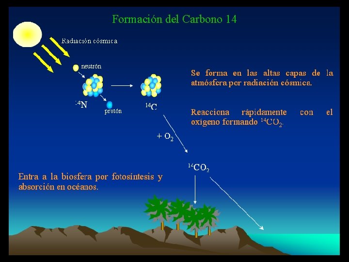 Formación del Carbono 14 