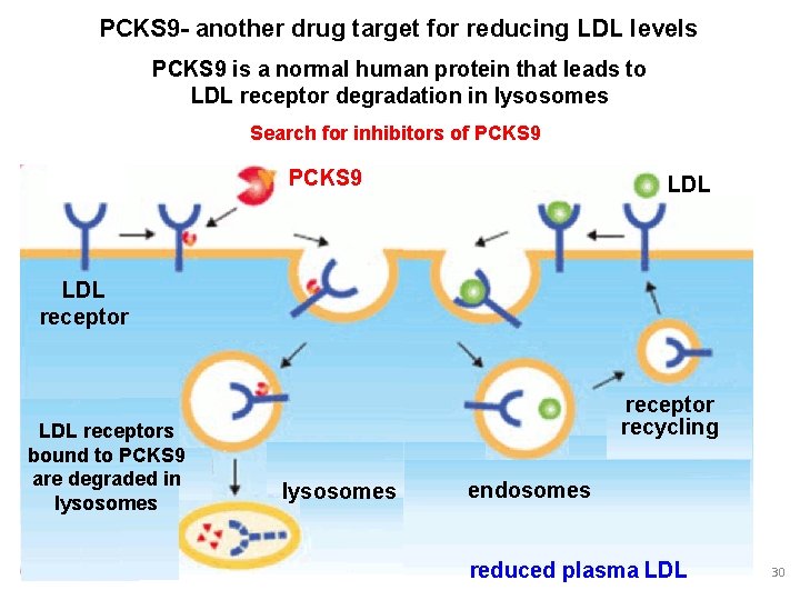 PCKS 9 - another drug target for reducing LDL levels PCKS 9 is a