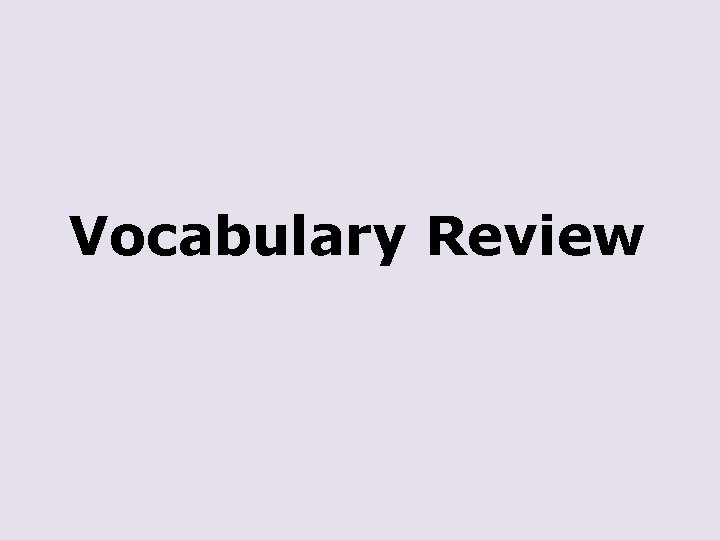 Vocabulary Review 