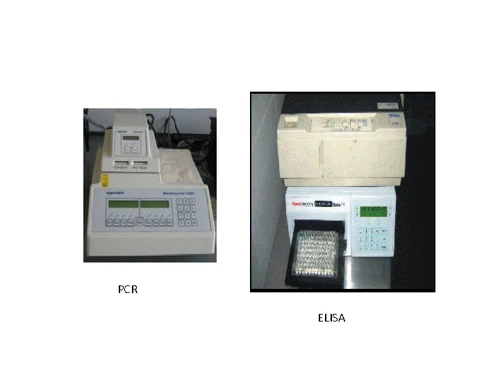 PCR ELISA 