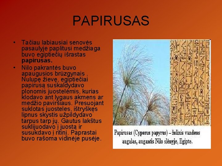 PAPIRUSAS • Tačiau labiausiai senovės pasaulyje paplitusi medžiaga buvo egiptiečių išrastas papirusas. • Nilo