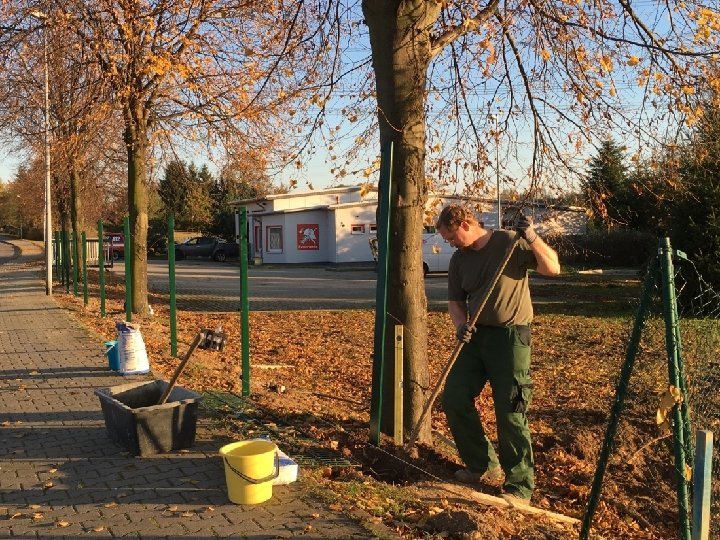 4. Haushalt � 4. 1 Ausstattung Gebäude, Anlagen � 4. 2 Fahrzeuge ◦ Erneuerung