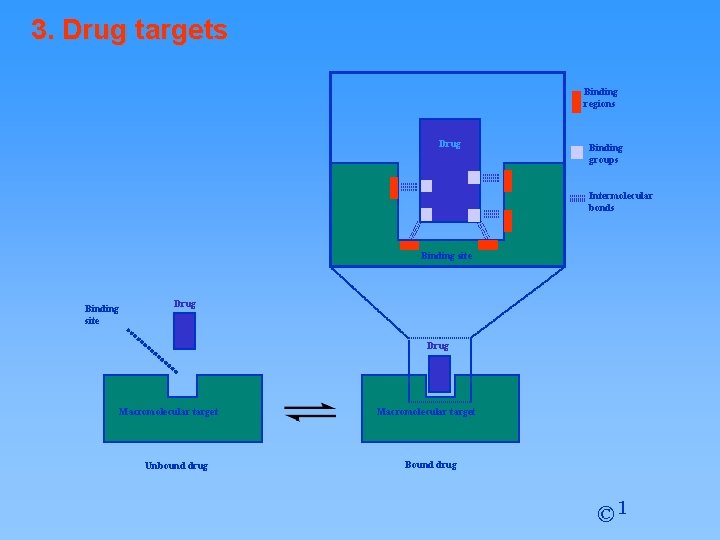 3. Drug targets Binding regions Drug Binding groups Intermolecular bonds Binding site Drug Macromolecular