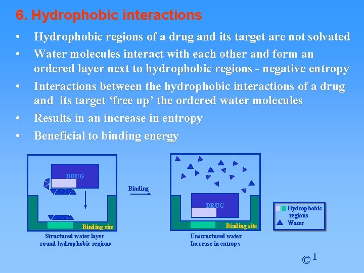 6. Hydrophobic interactions • • • Hydrophobic regions of a drug and its target