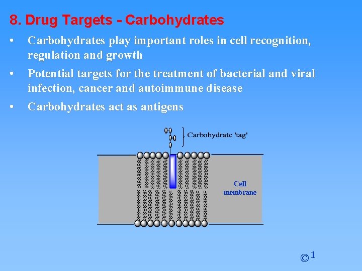 8. Drug Targets - Carbohydrates • Carbohydrates play important roles in cell recognition, regulation