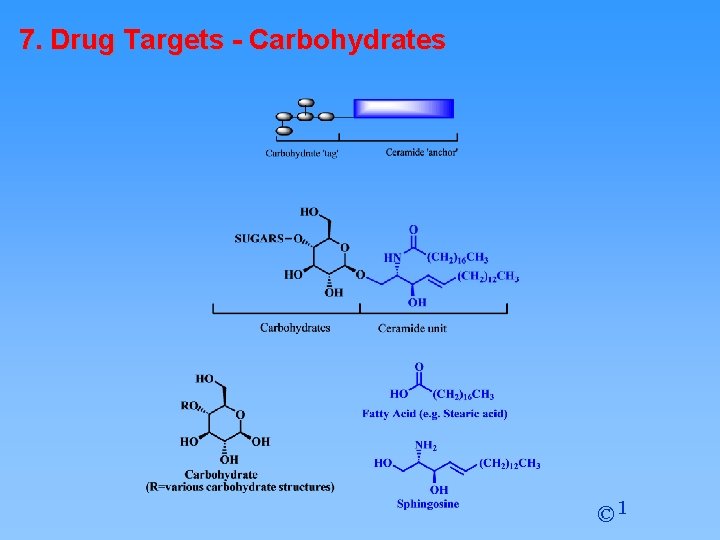7. Drug Targets - Carbohydrates © 1 