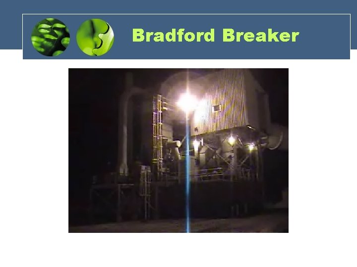 Bradford Breaker 