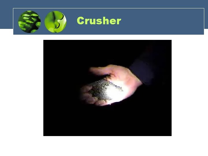 Crusher 
