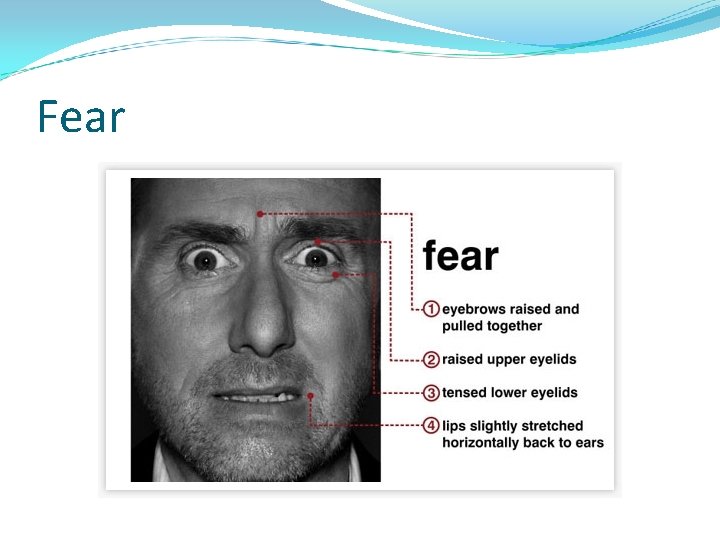 Fear 