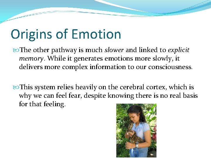 Origins of Emotion The other pathway is much slower and linked to explicit memory.