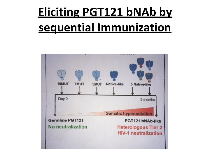 Eliciting PGT 121 b. NAb by sequential Immunization 